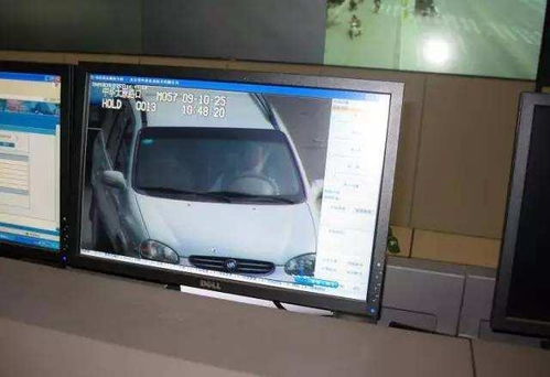 海燕系統 全國啟用 三本駕照都不夠扣